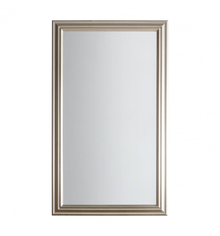 Haylen Mirror Brushed Steel Leaner